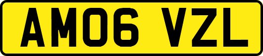 AM06VZL