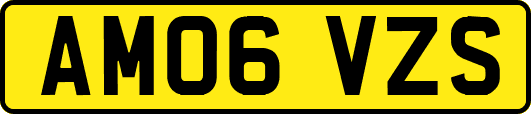 AM06VZS