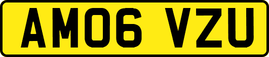 AM06VZU