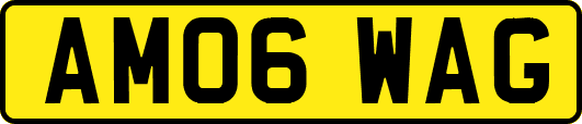 AM06WAG