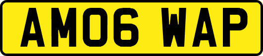 AM06WAP