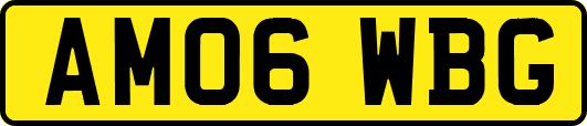 AM06WBG