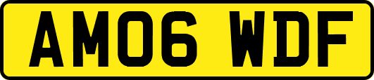 AM06WDF