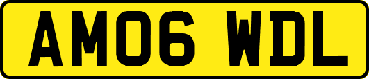 AM06WDL