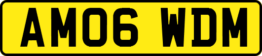 AM06WDM