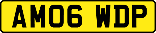 AM06WDP
