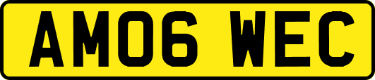 AM06WEC