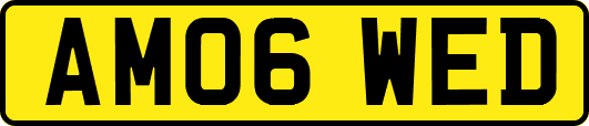 AM06WED