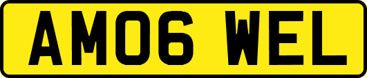 AM06WEL