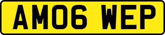 AM06WEP