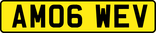 AM06WEV