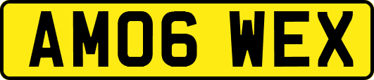 AM06WEX
