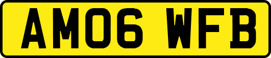 AM06WFB