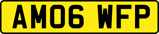 AM06WFP