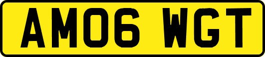 AM06WGT