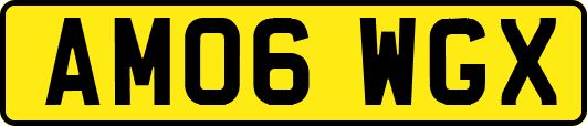 AM06WGX