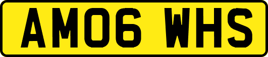 AM06WHS