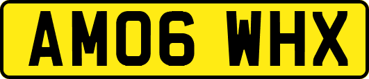 AM06WHX