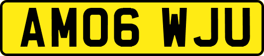 AM06WJU