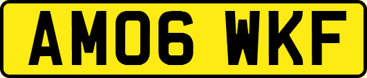 AM06WKF