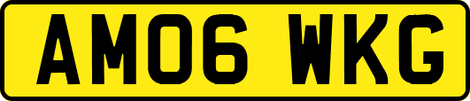 AM06WKG