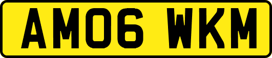 AM06WKM