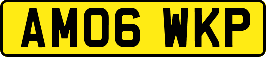 AM06WKP