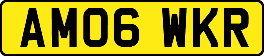 AM06WKR
