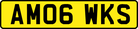 AM06WKS
