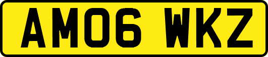 AM06WKZ