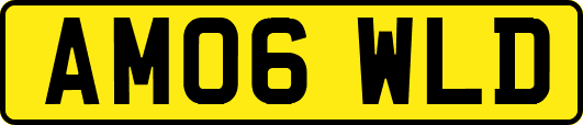 AM06WLD