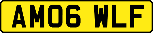 AM06WLF