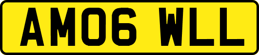 AM06WLL
