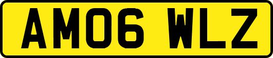 AM06WLZ
