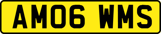 AM06WMS