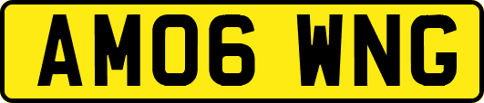 AM06WNG