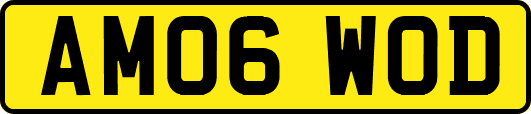 AM06WOD