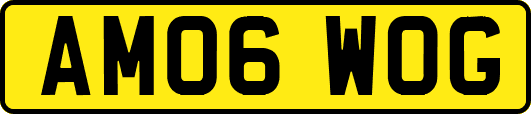 AM06WOG