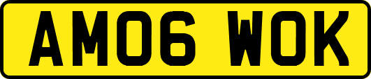 AM06WOK