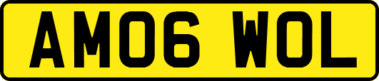 AM06WOL