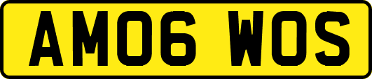 AM06WOS