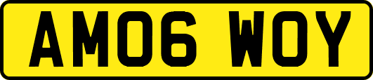 AM06WOY