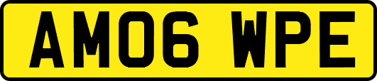 AM06WPE