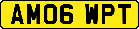 AM06WPT
