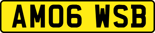 AM06WSB