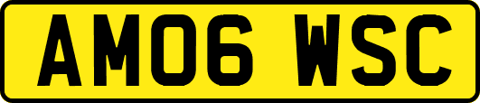 AM06WSC
