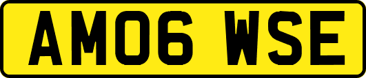 AM06WSE