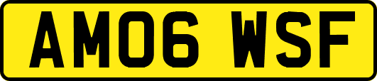 AM06WSF
