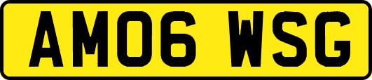 AM06WSG