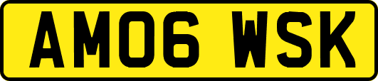 AM06WSK